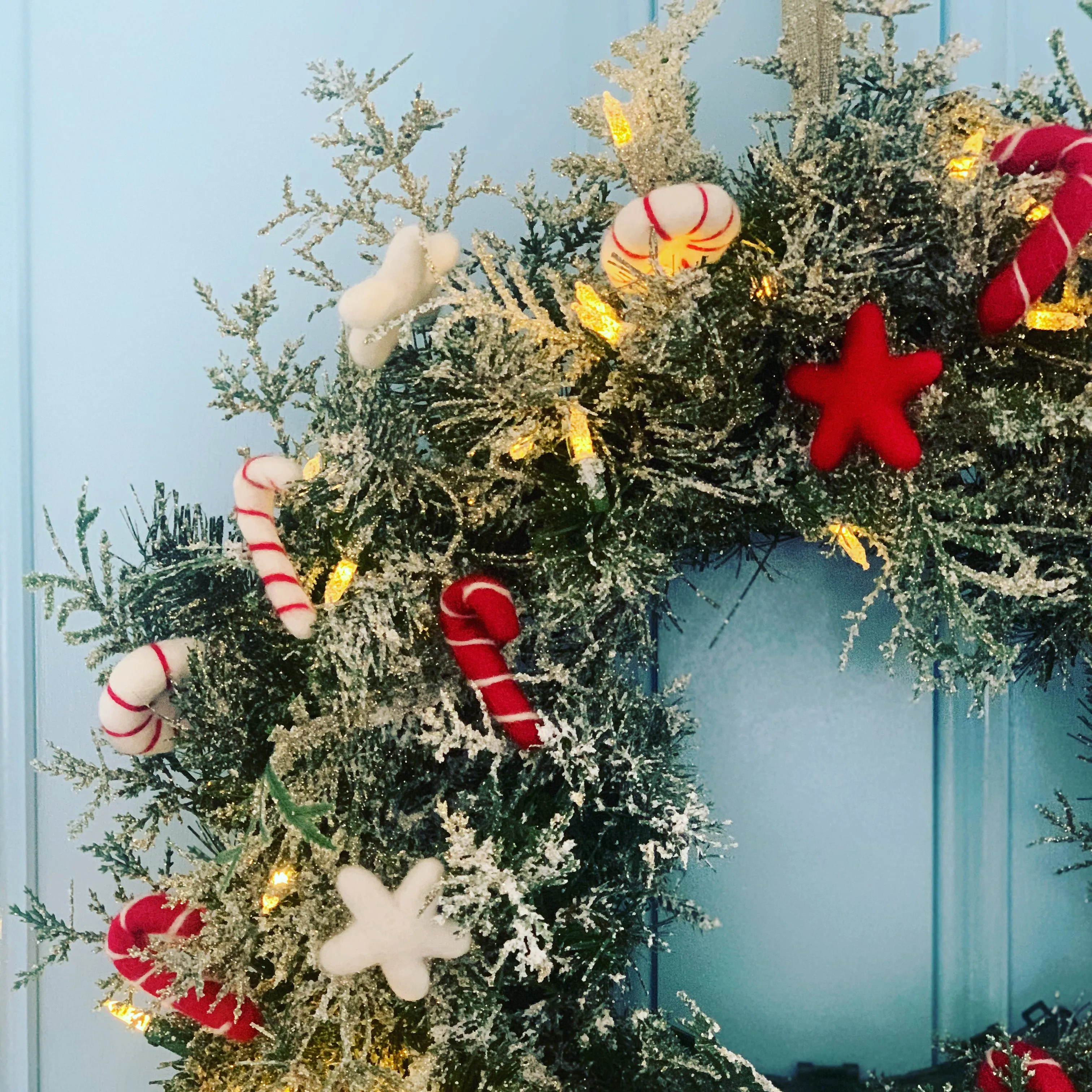 The Red Candy Cane Bunch