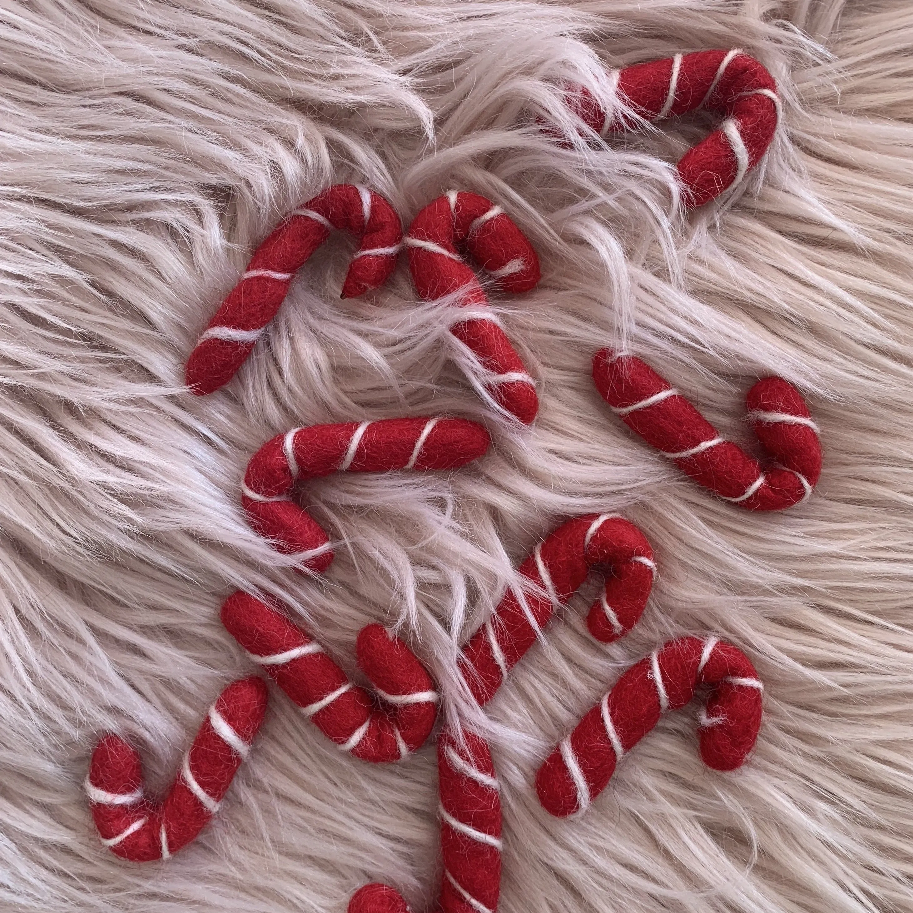 The Red Candy Cane Bunch